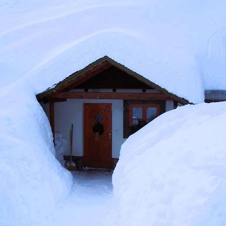 Treti Chalupa U Smrciny Janské Lázně Exterior foto